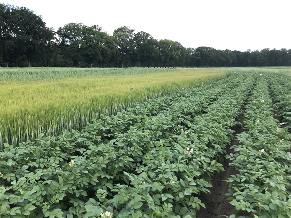 Vierde seizoen Natuurakker van start