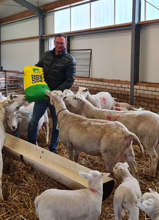 Interview | Op bezoek bij Roks Schapenhouderij